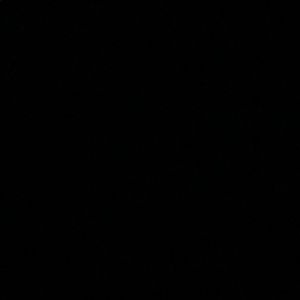 Meet your Posher, Darla